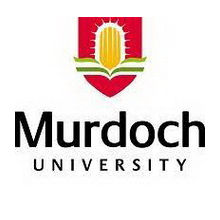 education consultant in jakarta